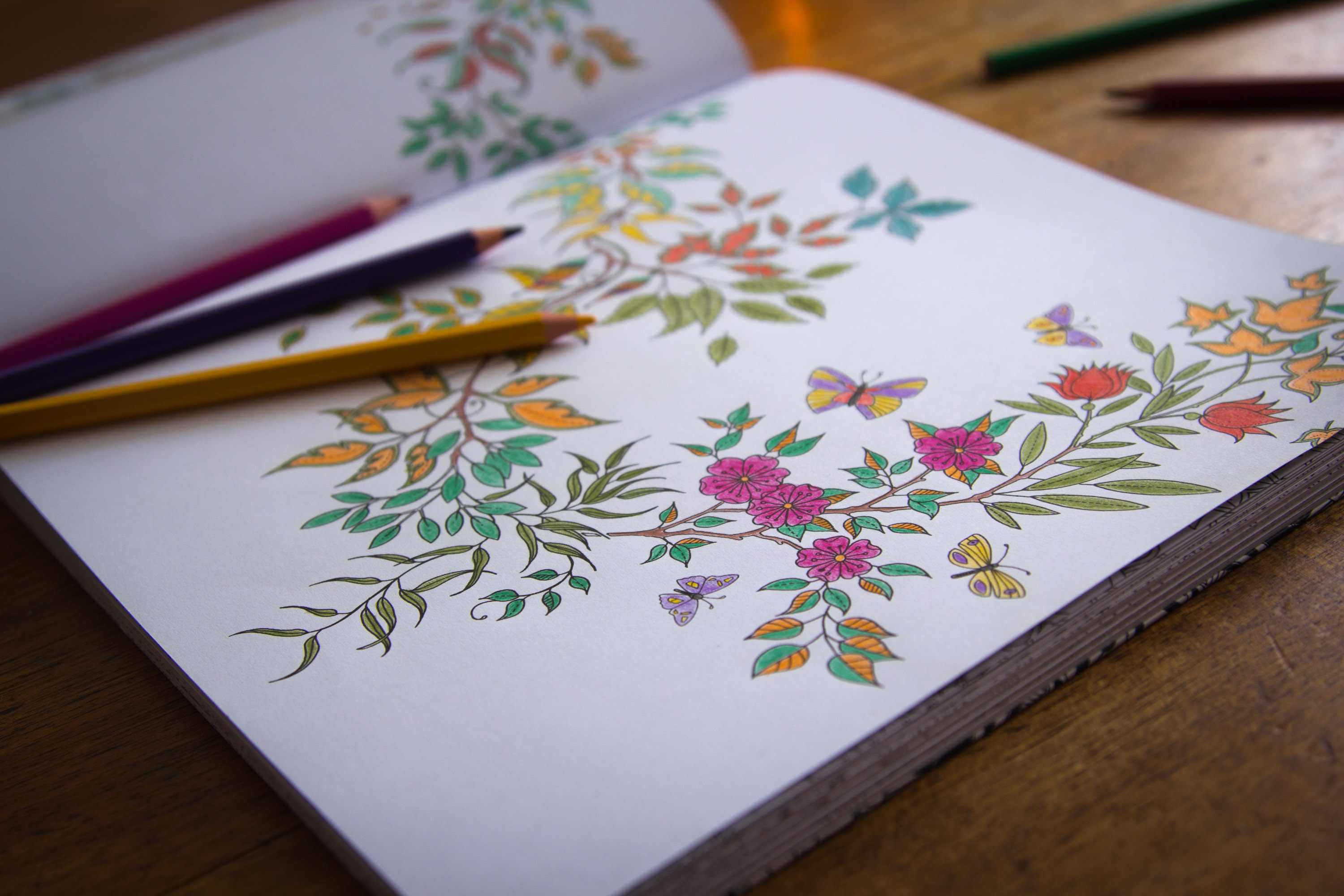 Le coloriage : plus qu’un passe-temps d’été ! Une thérapie