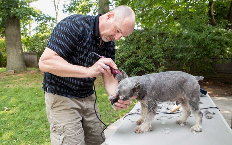 Tondeuse électrique pour chien : astuces pour un bon achat